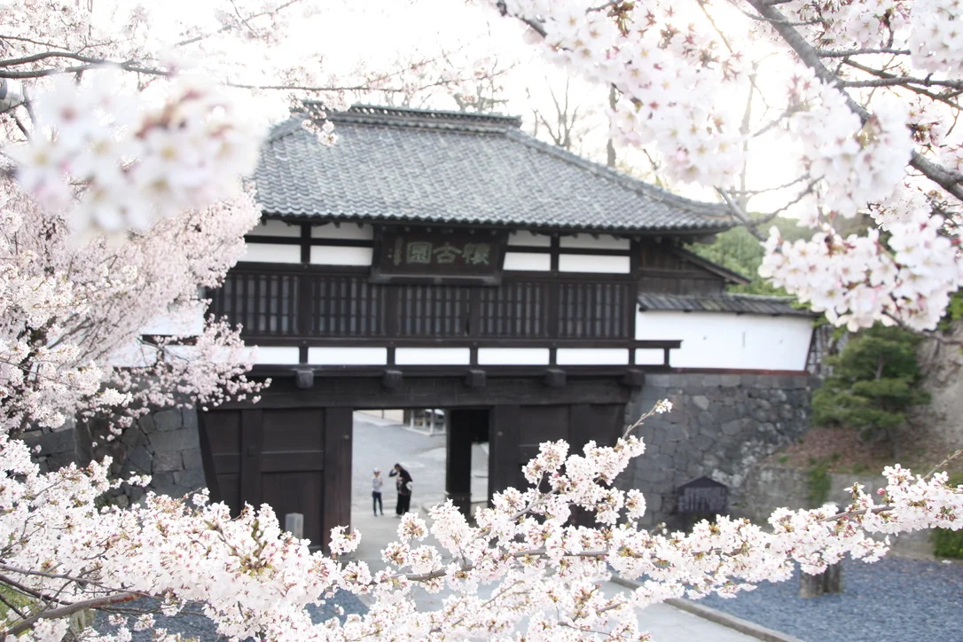 小諸城址懐古園