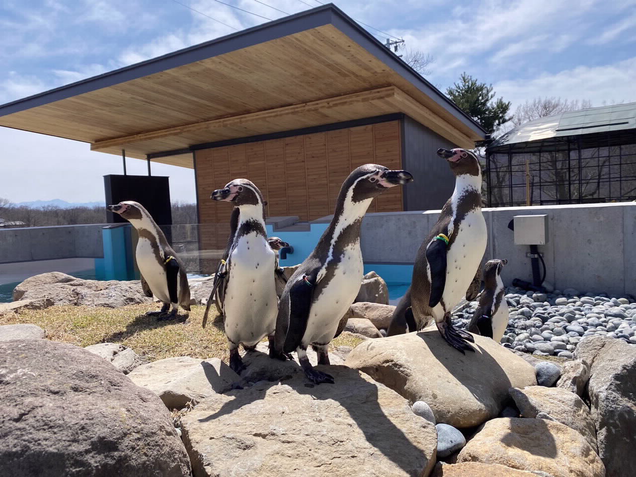 小諸市動物園
