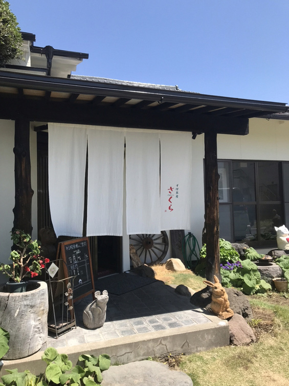 さくら