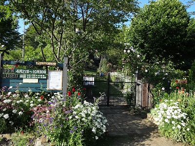 Sam's Garden